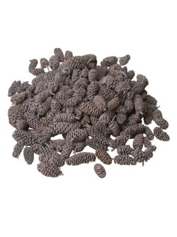 Pine Birch 15dkg/csom - Tengerkék