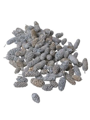 Pine Birch 15dkg/csom - Hamuszürke