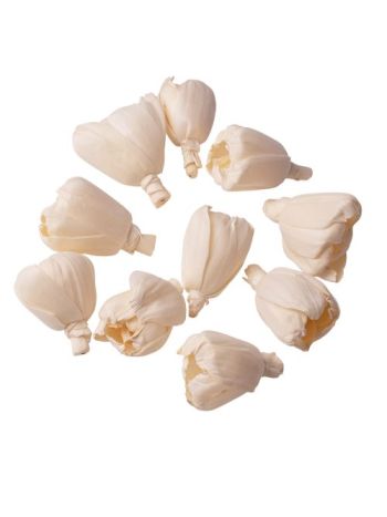 Shola tulipán 6cm 10db/csom - Natúr