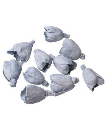 Shola tulipán 6cm 10db/csom - Tengerkék