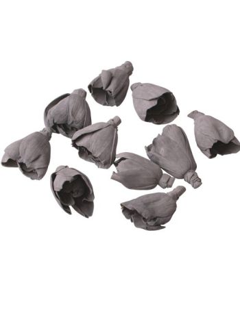 Shola tulipán 6cm 10db/csom - Hamuszürke