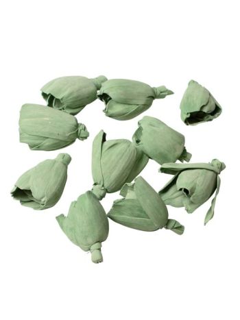Shola tulipán 6cm 10db/csom - Zsályazöld