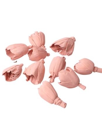 Shola tulipán 6cm 10db/csom - Pasztell rózsaszín