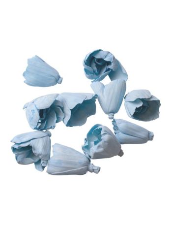 Shola tulipán 6cm 10db/csom - Hidegkék