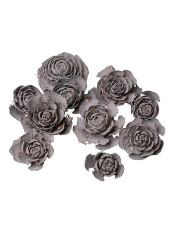 Cédrus rózsa 3-5cm 10db/csom - Hamuszürke