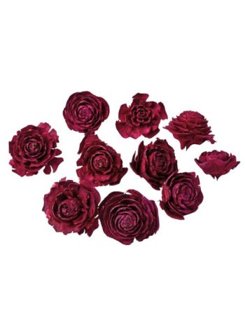 Cédrus rózsa 3-5cm 10db/csom - Bordó