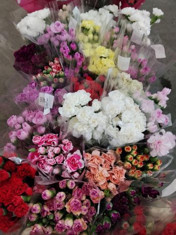 DI TR SELECT MIX - COL