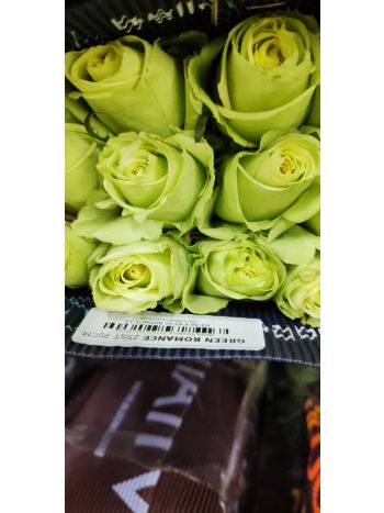 R EC7 GREEN ROMANCE