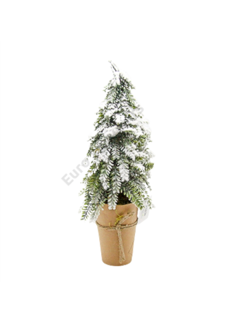 FENYŐFA HAVAS 1/24 15x44 cm