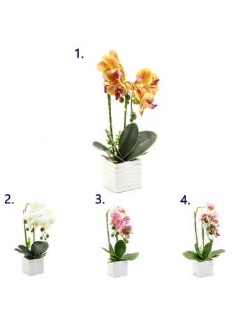 ORCHIDEA KASPÓBAN LED VILÁGÍTÁSSAL 1/24 43 cm 4 SZÍNBEN