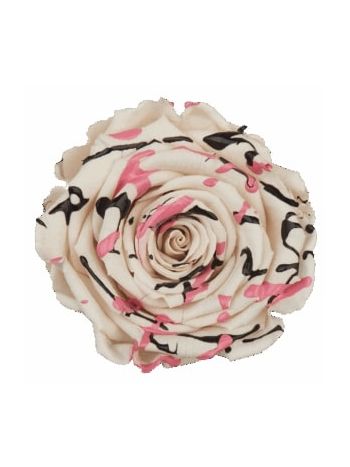 ZZ A TARTÓSRÓZSA LL WHITE FESTIVAL