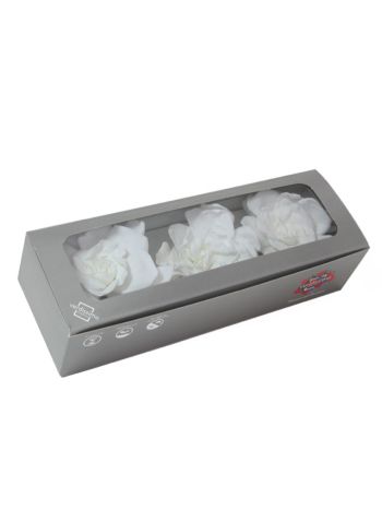 ZVB GARDENIA WHITE 8435056094895