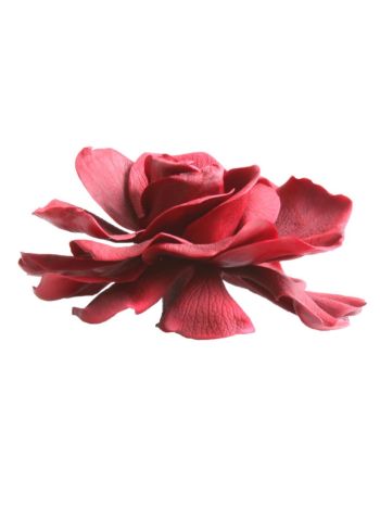 ZVB GARDENIA BURGUNDY 8435056094925