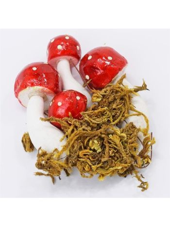 Gomba mohával műanyag 7 cm piros- fehér S/4