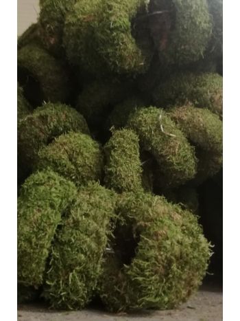 ZZ HU ALAP MOHA 10CM