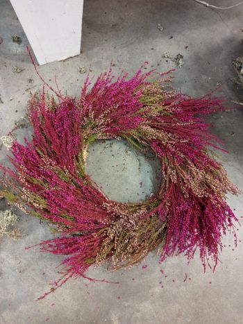 ZZ HU CALLUNA ALAP 30 CM