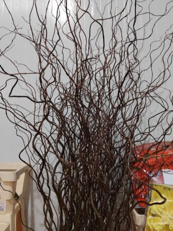 ZZ HU CSAVARTFŰZ (H)