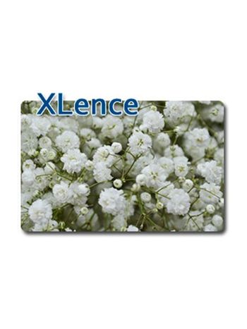 GYPS EC XLENCE