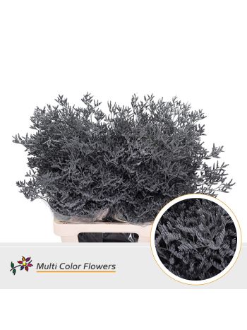 LIM OV KLB H% - GRIJS