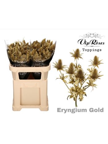 DI TR SELECT MIX - COL