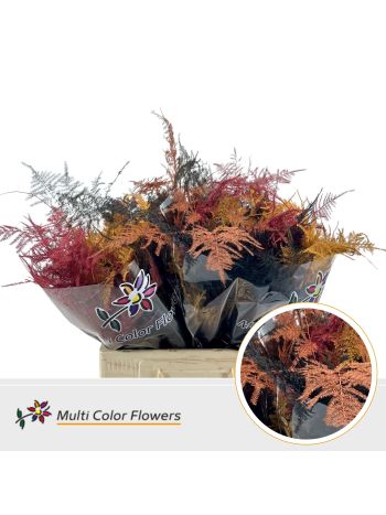 ASP OV KLB H% - MIDDEL HERFST MIX