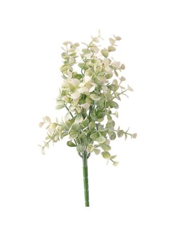 Eukaliptusz csokor- 7 ágú- 35cm magas - Világos zöld