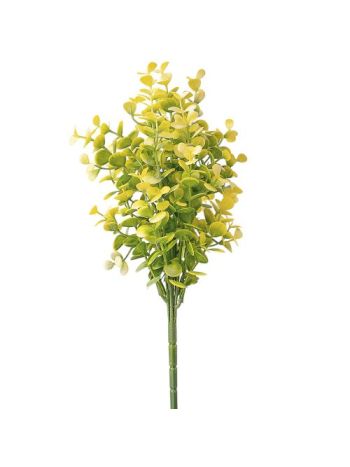 Eukaliptusz csokor- 7 ágú- 35cm magas - Sárgás zöld