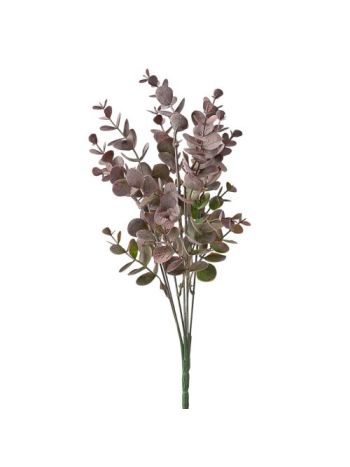 Eukaliptusz csokor- 7 ágú- 34cm magas - Barna