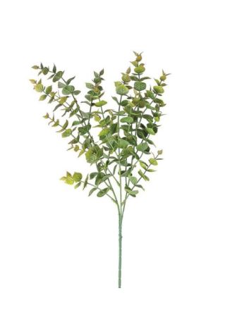 Eukaliptusz csokor- 3 ágú- 70cm magas - Zöld / Barna