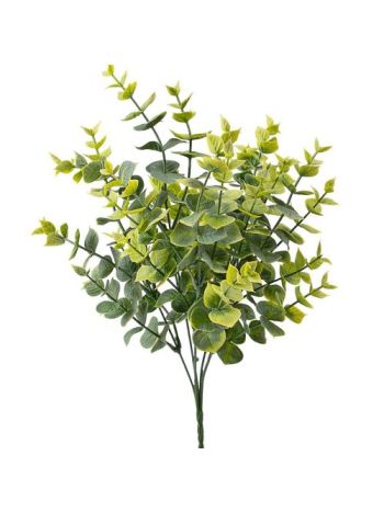 Eukaliptusz csokor- 5 ágú- 37cm magas - Zöld / Világoszöld