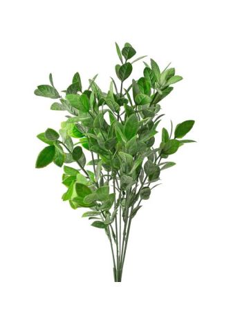 Eukaliptusz csokor- 7 ágú- 34cm magas - Sötétzöld