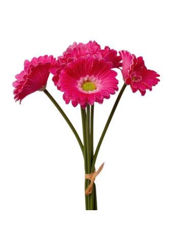 Real touch gerbera köteg- 6 szál- 27 cm magas  - Ciklámen