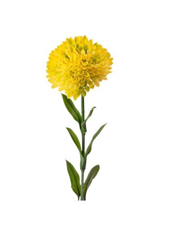 Dália szál- 50cm magas - Sárga