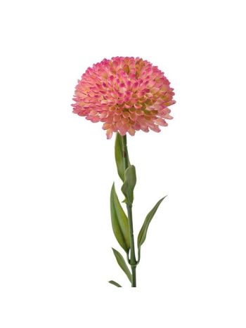 Dália szál- 50cm magas - Rózsaszín