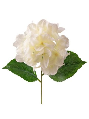 Hortenzia selyemvirág szál- 60cm magas - Krém