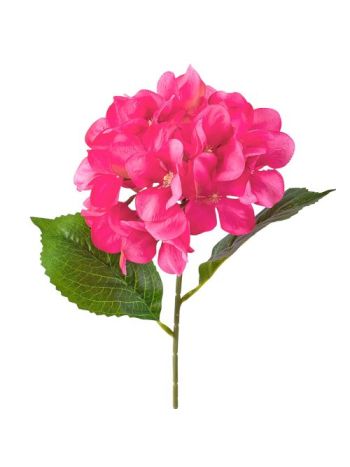 Hortenzia selyemvirág szál- 60cm magas - Ciklámen