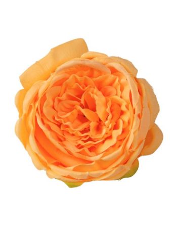 Angol rózsa selyemvirág fej- 10.5cm - Narancssárga