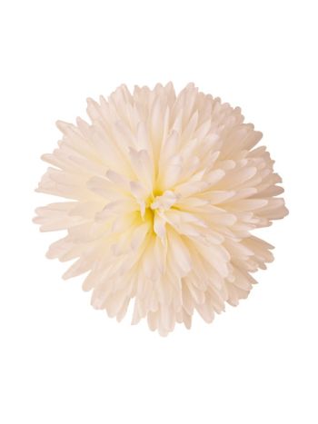 Krizantém selyemvirág fej- 14cm - Krém