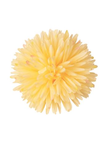 Krizantém selyemvirág fej- 14cm - Sárgás krém