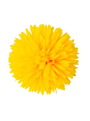 Krizantém selyemvirág fej- 14cm - Sárga
