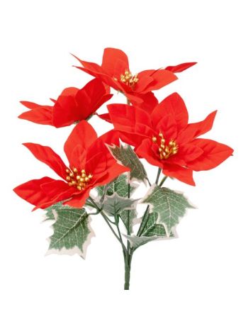 Mikulásvirág csokor- 5 fejes- 31cm magas - Piros