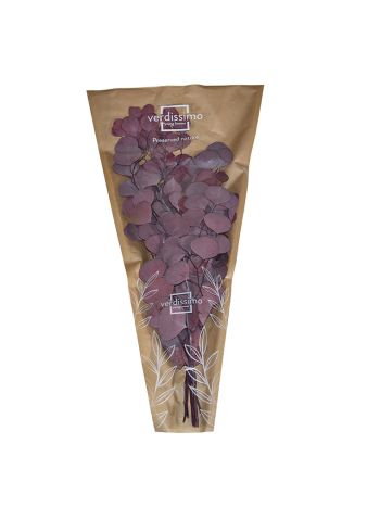 ZVB POPULUS RED 40/80  8435056043657