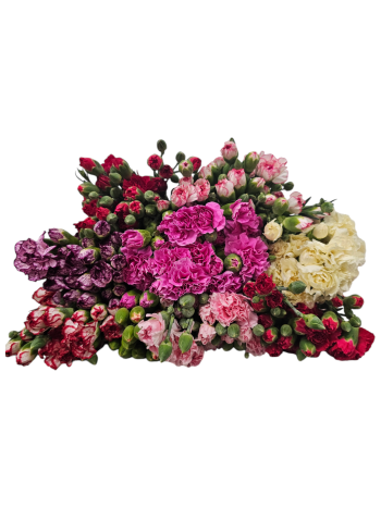 DI TR SELECT MIX - COL