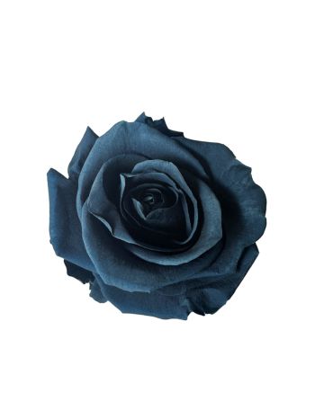 ZVB ROSA STANDARD W-BOX 6SP DUSTY AZUL 8435056106260