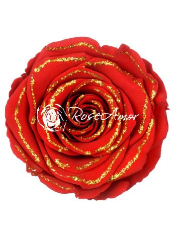 ZZ A TARTÓSRÓZSA LL. GLITTER RED 02 GOLD