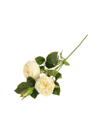Selyemvirág angol rózsa ág 62cm fehér