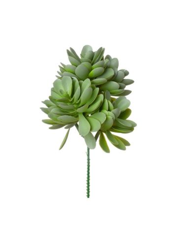 Selyemvirág Echeveria betűzős műanyag 19 cm zöld