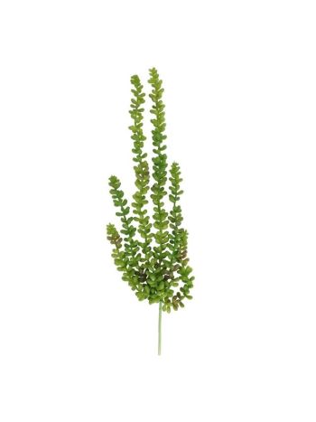 Selyemvirág futó borsóka 45 cm világoszöld