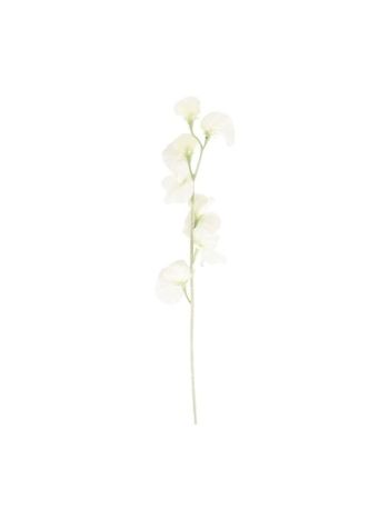 Selyemvirág Lathyrus 63 cm fehér