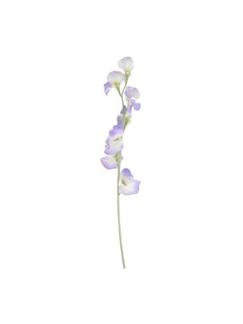 Selyemvirág Lathyrus 64 cm lila